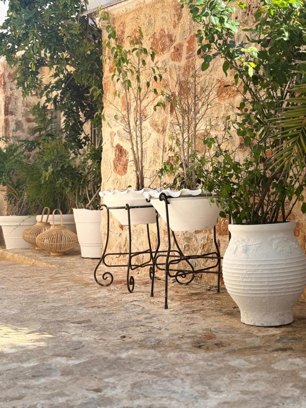 Pallas Seaside 1 Athènes Extérieur photo